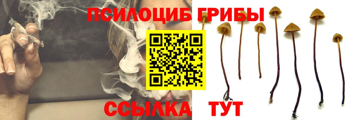 Галлюциногенные грибы мицелий  Вход с VPN  где продают наркотики  Галлюциногенные грибы Magic Shrooms  Лангепас 